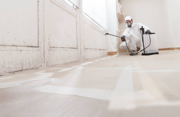 24/7 Emergency Black Mold Removal experts in Emporia, VA