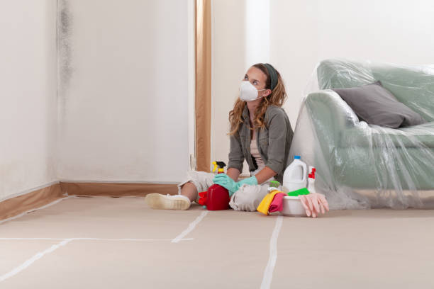 Reliable Black Mold Removal contractor in Emporia, VA by WQB Mold Removal
